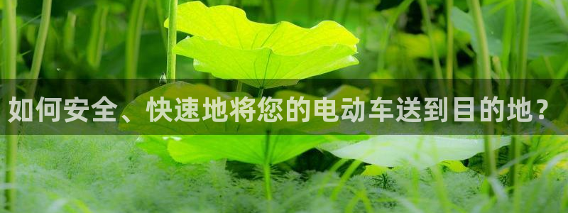 多多28官网下载：如何安全、快速地将