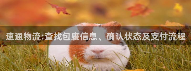 多多28注册平台：速通物流:查找包裹