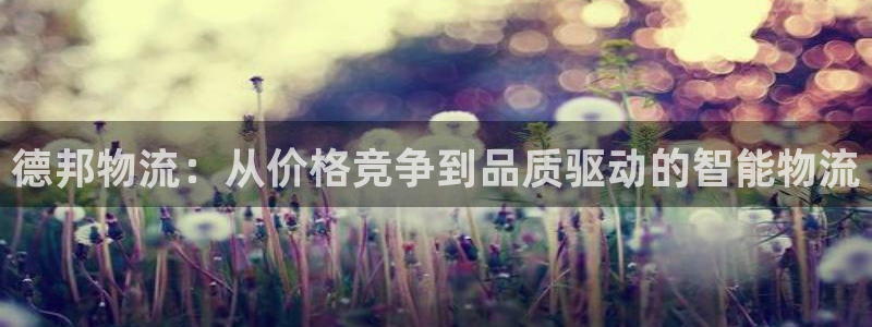 多多28入口问一问：德邦物流：从价格
