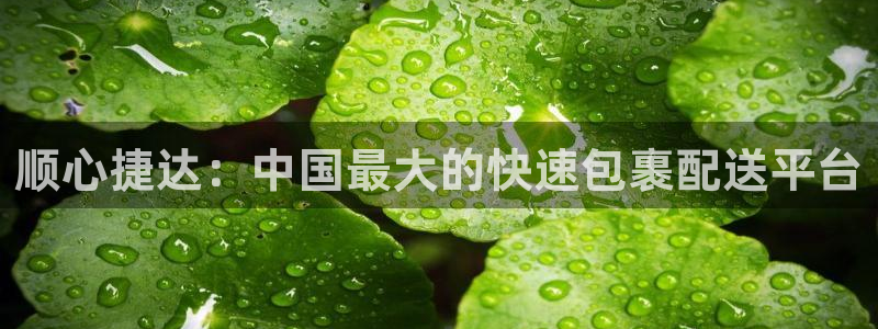 多多28入口问一问：顺心捷达：中国最