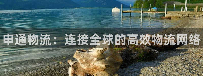 多多28旗下：申通物流：连接全球的高