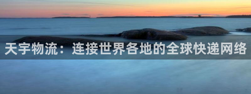 多多28p图上分下款通道：天宇物流：