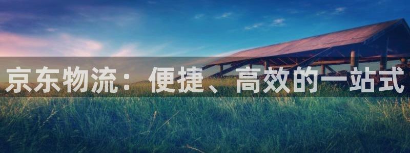 多多28注册用户名是什么：京东物流：