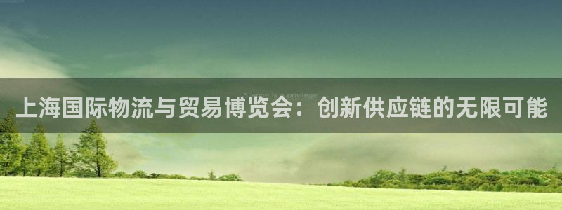 多多28代理落网：上海国际物流与贸易
