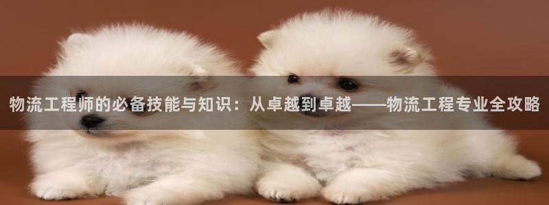 多多28流水怎么算