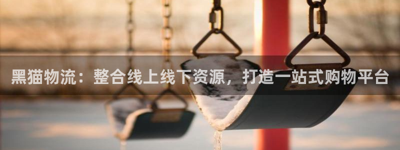 多多28体育下载：黑猫物流：整合线上