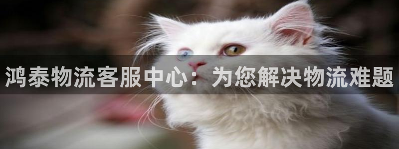 多多28怎么注册：鸿泰物流客服中心：