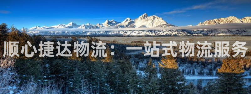 多多28官网入口pc29官网版下载