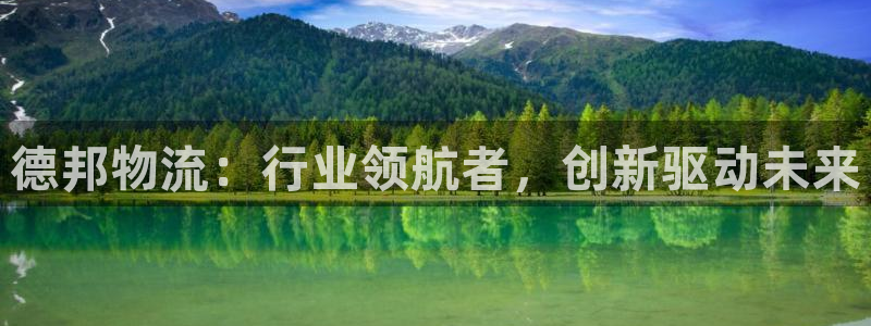 多多28官网入口正版