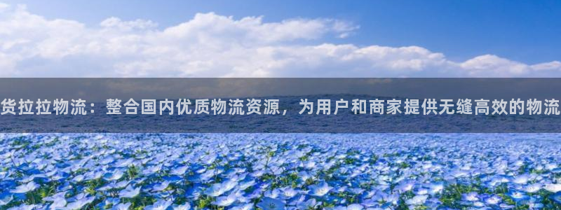 多多28官网多少：货拉拉物流：整合国