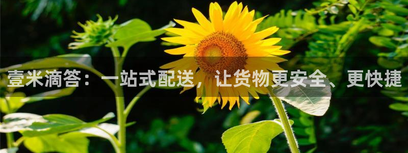 多多28官网下载链接：壹米滴答：一站