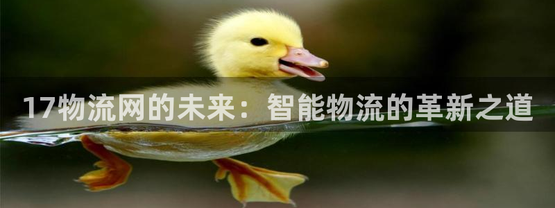 多多28免费充钱：17物流网的未来：