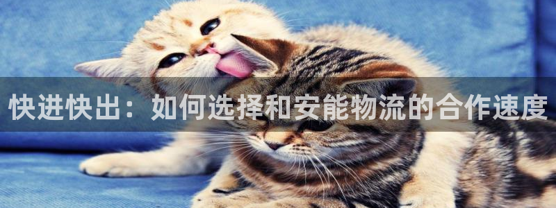 多多28忘记账号