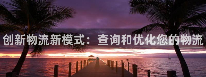 多多28官网版下载：创新物流新模式：
