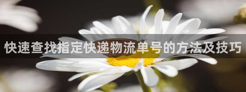 多多28怎么注册：快速查找指定快递物