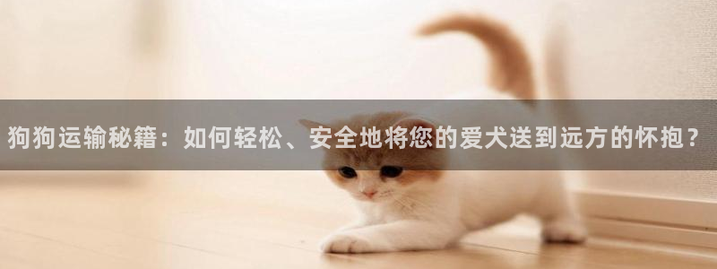 多多28注册登录流程：狗狗运输秘籍：