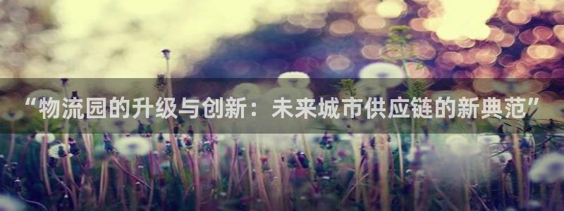 多多28下载不了：“物流园的升级与创