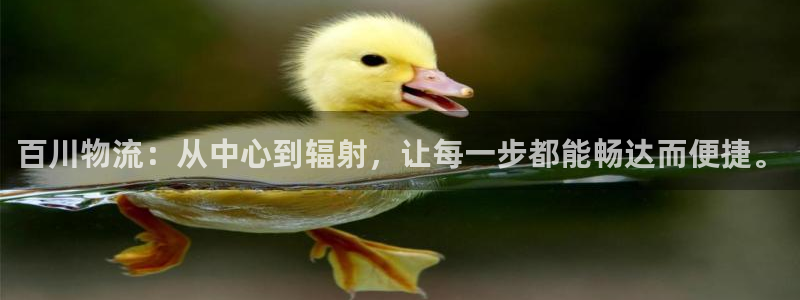 多多28口：百川物流：从中心到辐射，
