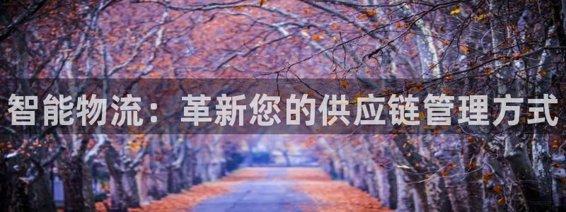 多多28下分了不给钱:智能物流:革新