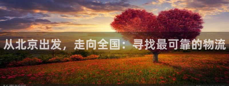 多多28客服电话：从北京出发，走向全