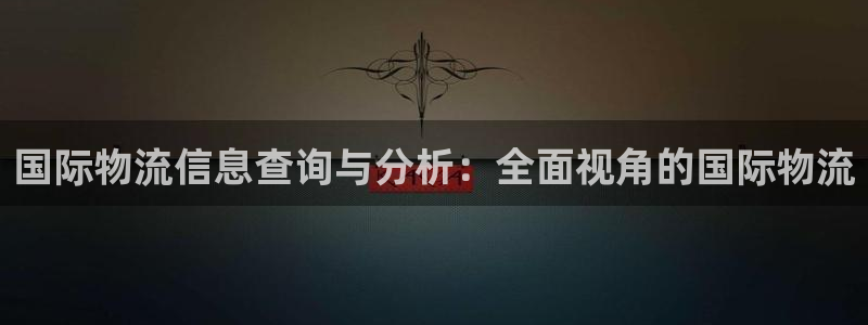 多多28账号注册:国际物流信息查询与