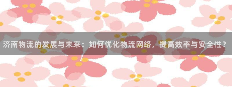 多多28加拿大6.0:济南物流的发展