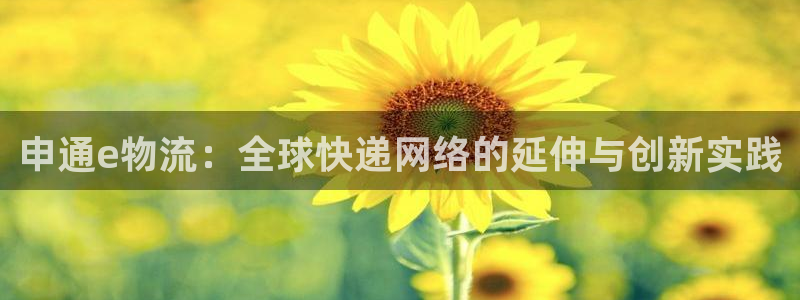 多多28注册平台：申通e物流：全球快