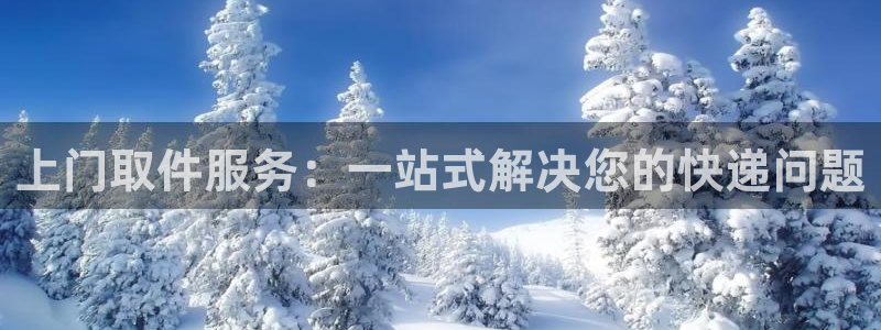 多多28网站平台:上门取件服务:一站