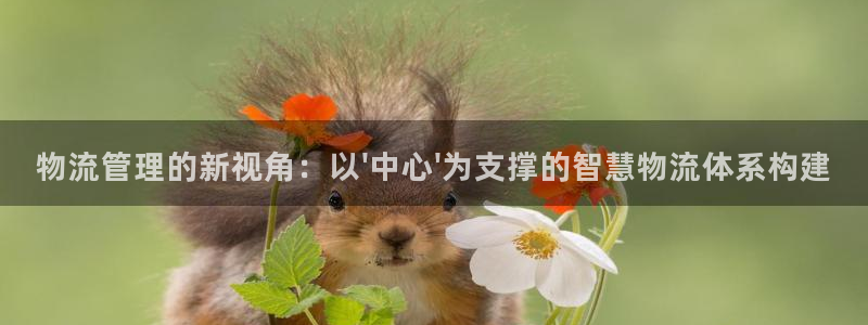 多多28怎么下载教程：物流管理的新视角：以\'中心\'为支撑