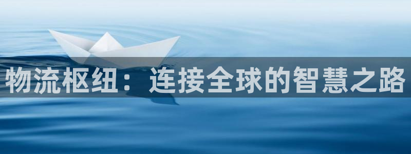 多多28怎么注册：物流枢纽：连接全球的智慧之路