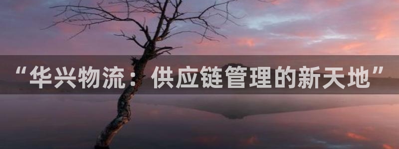 多多28初始资金密码是什么：“华兴物