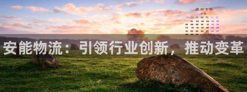 多多28登录流程：安能物流：引领行业