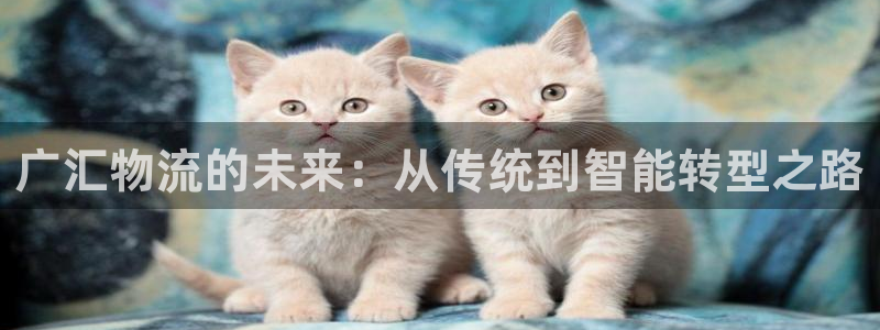 多多28在线预测：广汇物流的未来：从