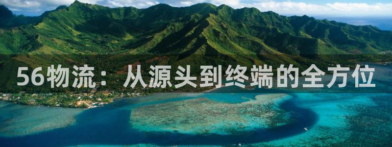 多多28下载链接是多少：56物流：从