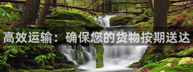 多多28app赢了500万：高效运输