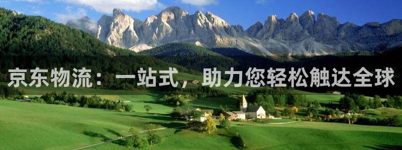 多多28推广链接是多少粉丝：京东物流